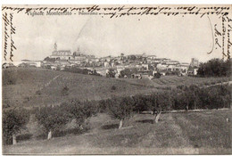 VIGNALE MONFERRATO  - PANORAMA - F.P. - STORIA POSTALE - Alessandria