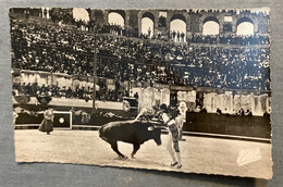 CORRIDA DE TOROS - Corrida