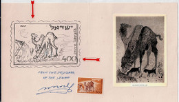 ISRAEL 1950 SKITSA FOR STAMP OF NEGEV BY ARTIST ,CAMEL HEAD TURNED BACK  AND RATING INSTEAD OF 500 Mil 400 Mil - Sin Dentar, Pruebas De Impresión Y Variedades