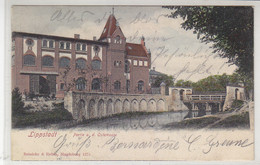 Lippstadt - Partie A.d. Oststrasse - 1902 - Lippstadt