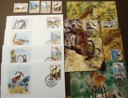 ETHIOPIA 1990 Mi 1385-1388 WWF Steinbock/Walia Ibex Animaux Bouquetins Maxi Card FDC MNH ** #cover 4964 - Collections, Lots & Series