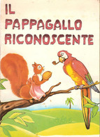 IL PAPPAGALLO RICONOSCENTE - EDIZIONI PAOLINE - COLLANA CUCCIOLI N. 6 -1965 - Bambini E Ragazzi