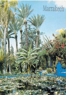 Marrakech - Les Jardins De Majorelle - Marrakech