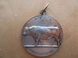 DA-128 Médaille Royaume De Belgique KONINKDRIJK BELGIE Ministère De L'Agriculture1955 Ministère Van Landbouw - Bronces