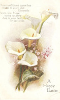 "Lily Flowers. Easter Message" Tuck Oilette Easter Greetinjgs PC # 917 - Tuck, Raphael