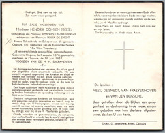Bidprentje Hingene - Mees Hendrik Domien (1878-1957) - Imágenes Religiosas