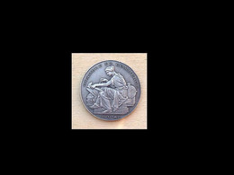 DAF-042 Médaille En Argent (gravé Sur La Tranche) Chambre De Commerce DOUAI - Spoorweg
