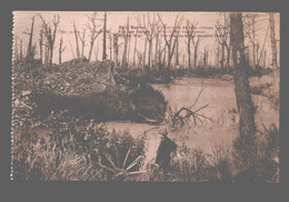Mont-Kemmel - Overblyfsel Van 't Kasteel - Souvenir Van Den Oorlog 1914-18 - Heuvelland
