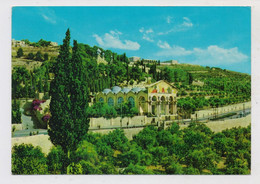 JORDAN - JERUSALEM, Gethsemane Kirche, 1966 - Jordan