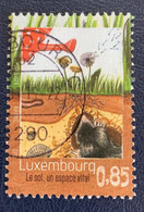 Luxembourg  2014   Y Et T  1960 O  Cachet Rond - Usados