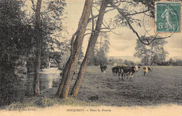 SERQUIGNY (Eure) - Dans La Prairie - Vaches - Carte Toilée Couleurs - Serquigny