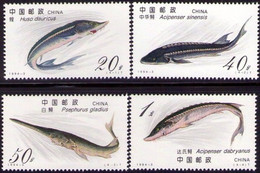 China 1994-3 Sturgeon MNH Fauna Fish - Neufs