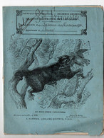 Cahier D'écolier Avec Couverture Illustrée "LE PHILANDER CARNIVORE"  (M3391) - Protège-cahiers