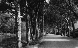 SALLELES D AUDE     LES QUAIS - Salleles D'Aude