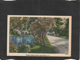 111948        Stati  Uniti,   Greetings  From  Fulton,  N. Y.,  NV(scritta) - Parks & Gardens