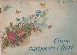 RARO - MARIA PREST COME NACQUERO I FIORI  Illustrato BUSSO - 1945  Istituto FIGLIE DI SAN PAOLO - ROMA - Niños Y Adolescentes