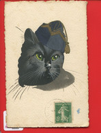 Chat Humanisé Soldat Anthropomorphisme Carte Illustrateur Non Signée Technique Pochoir Calot Cachet Montpellier - 1900-1949