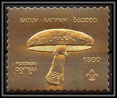 86303 Batum Georgie Champignons Mushrooms Funghi  OR Gold Stamps  ** MNH Tirage Privé - Hongos