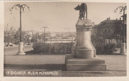 ROMANIA - Bucuresti 1934 - Aleia Mitropoliei - Roemenië