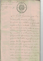I767. Plainte De Marie Philippe Brasseur Aux Seigneuries Saint Pierre De Lobbes Et De Peissant. Quatre Patars. 22pages. - Historical Documents