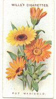 CHROMO WILLS'S CIGARETTES BRISTOL LONDON POT MARIGOLD OLD ENGLISH GARDEN FLOWERS CALENDULA OFFICINALIS FLEURS PLANTES - Wills