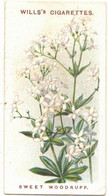 CHROMO WILLS'S CIGARETTES BRISTOL LONDON SWEET WOODRUFF OLD ENGLISH GARDEN FLOWERS FLEURS PLANTES FLOWER FLEUR - Wills