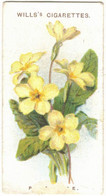 CHROMO WILLS'S CIGARETTES BRISTOL LONDON PRIMROSE OLD ENGLISH GARDEN FLOWERS PRIMULA VULGARIS FLEURS PLANTES FLOWER - Wills