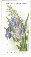 CHROMO WILLS'S CIGARETTES BRISTOL LONDON WILD HYACINTH OLD ENGLISH FLOWERS SCILLA NUTANS FLEURS PLANTES FLOWER FLEUR - Wills