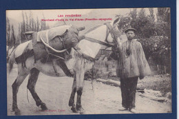 CPA [65] Hautes Pyrénées Val D'Aran Métier Non Circulé - Autres & Non Classés