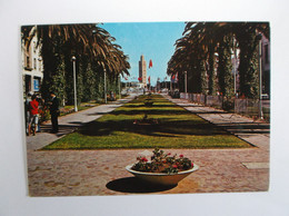 RABAT   Avenue Mohammed V - Rabat