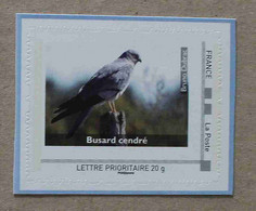 A4-04 : Oiseau - Busard Cendré (autocollant / Autoadhésif) - Sonstige & Ohne Zuordnung