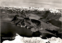 Bürgenstock Mit Den Alpen (0347) - Andere & Zonder Classificatie