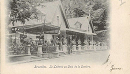 CPA-BRUXELLES " LA Laiterie Au Bois De La Cambre " - Forêts, Parcs, Jardins