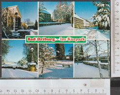 Bad Driburg  Mehrbildkarte Im Kurpark Ungebraucht ( AK 2425)  Günstige Versandkosten - Bad Driburg