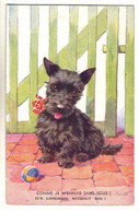 (Illustrateurs) 769, Valter, Valentine & Sons 1721, Chien Scottish Terrier - Valter, Fl. E.