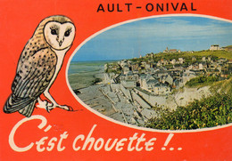 Delcampe - Ault Onival - Vue Générale " C'est Chouette " - Ault