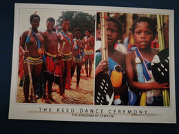 Reed Dance Ceremony - Swaziland