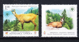 Bosnia And Herzegovina R Srpska 2006 Animals Mi#375 Mint Never Hinged With Vignette - Bosnia And Herzegovina