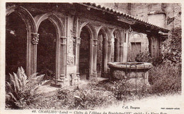 CHARLIEU - Cloître De L'Abbaye Des Bénédictins - Le Vieux Puits - Charlieu