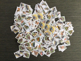 België / Belgique Lot Vogels / Oiseaux / Type Buzin (o) - Used Stamps