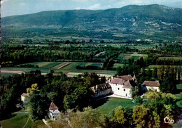 BRANGUES   ( ISERE )   VUE AERIENNE . LE CHATEAU - Brangues