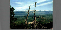 01 GEX COL DE LA FAUCILLE ARBRE MORT PANORAMA CHAINE DES ALPES MONT BLANC VUE DEPUIS MONT ROND 1540m - 10042022 - Gex