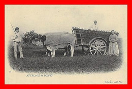 2 CPSM/gf Reproduction.Agriculture. Attelage De Bœufs / Retour Des Vendangeurs...L708 - Attelages