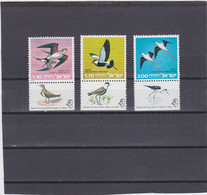 ISRAEL BIRDS.MNH. - Other