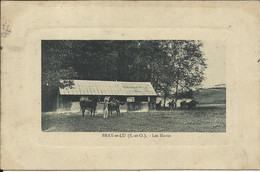 BRAY Et LU ( Seine Et Oise ) , Les Haras , 1909 - Bray-et-Lû