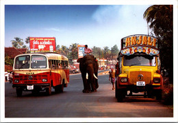 (2 H 25) India - Kerala - Elephant & Buses Transport In City - Cebras