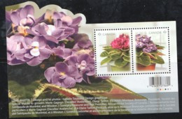 2010  African Violets  Souvenir Sheet Of 2 Different Sc 2376 MNH - Neufs