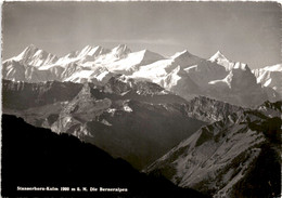 Stanserhorn-Kulm - Die Berneralpen (7874) * 2. 8. 1962 - Stans