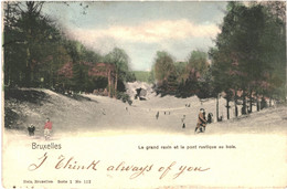 CPA - Carte Postale -Belgique- Bruxelles Grand Ravin Et Pont Rustique Au Bois Début De 1900 VM47693 - Forêts, Parcs, Jardins