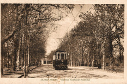 ALESSANDRIA CITTÀ - Tram - Viale Giardini Pubblici - VG + Targhetta Postale + Francobollo Commemorativo - AC045 - Alessandria